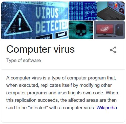 Computer Viruses