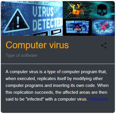 Computer Viruses